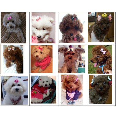 20pcs Double-layer Pet Hair Bows Assorted Colors